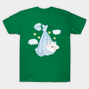 Koala Sleeping Sky T-Shirt